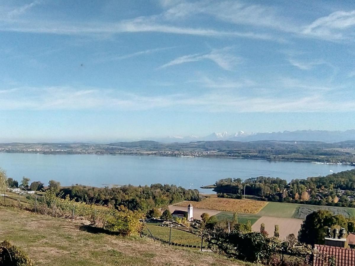 Swiss Borzoi House Bed & Breakfast Vully-les-Lacs Екстериор снимка