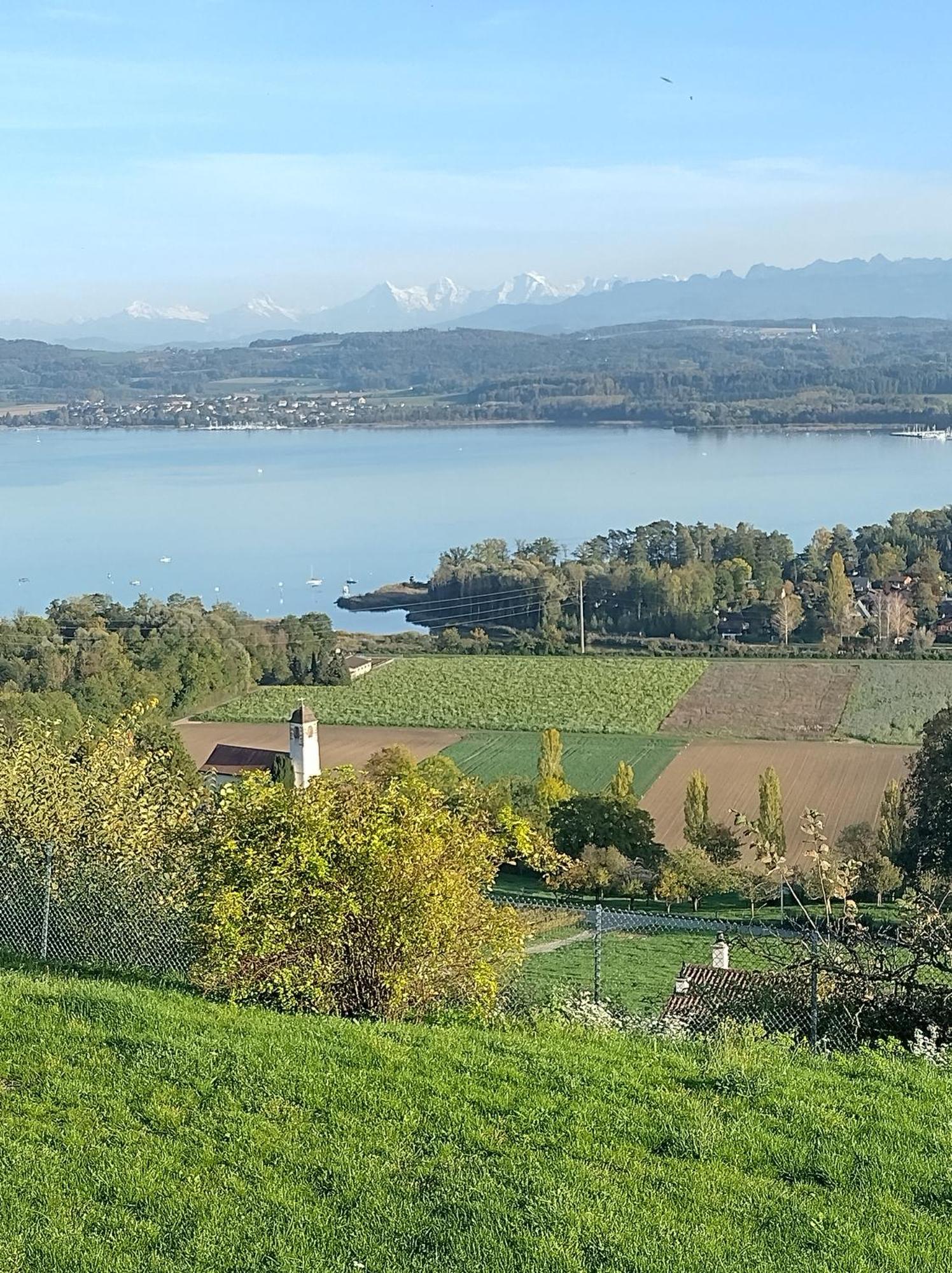 Swiss Borzoi House Bed & Breakfast Vully-les-Lacs Екстериор снимка