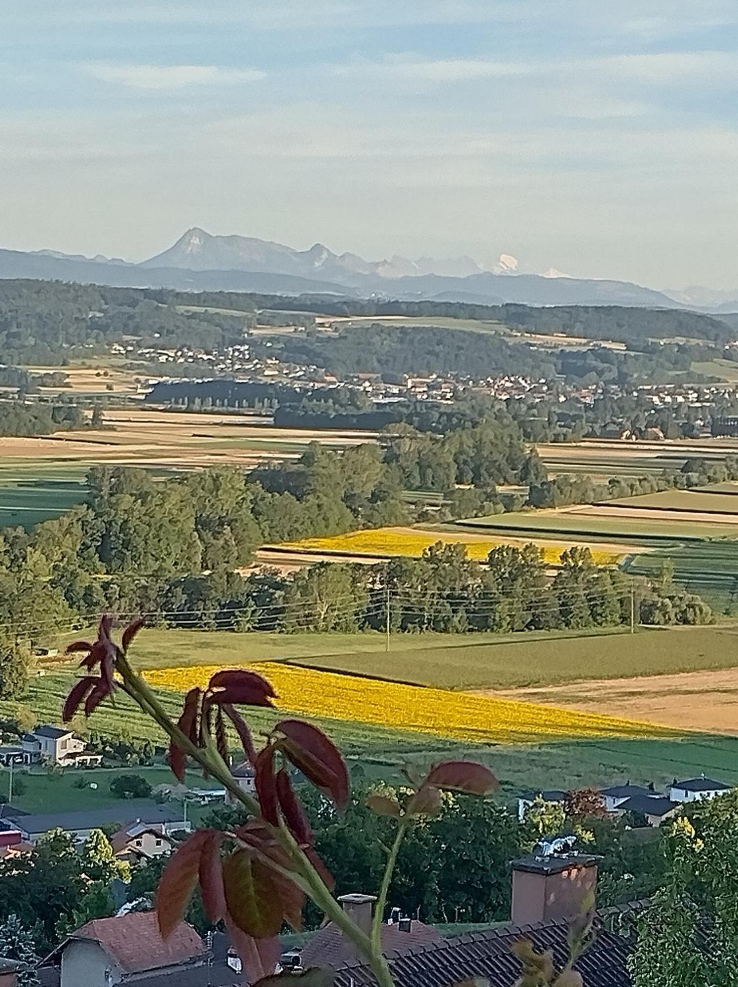 Swiss Borzoi House Bed & Breakfast Vully-les-Lacs Екстериор снимка